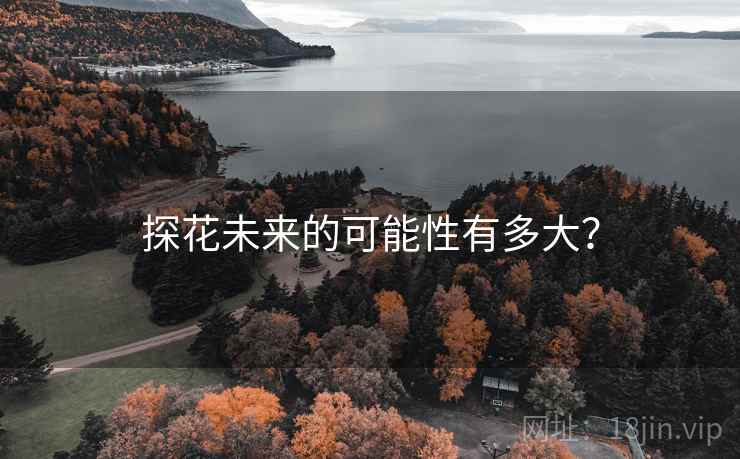 探花未来的可能性有多大？