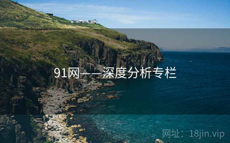 91网——深度分析专栏