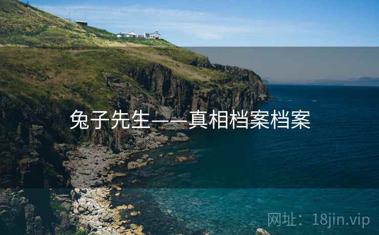 兔子先生——真相档案档案