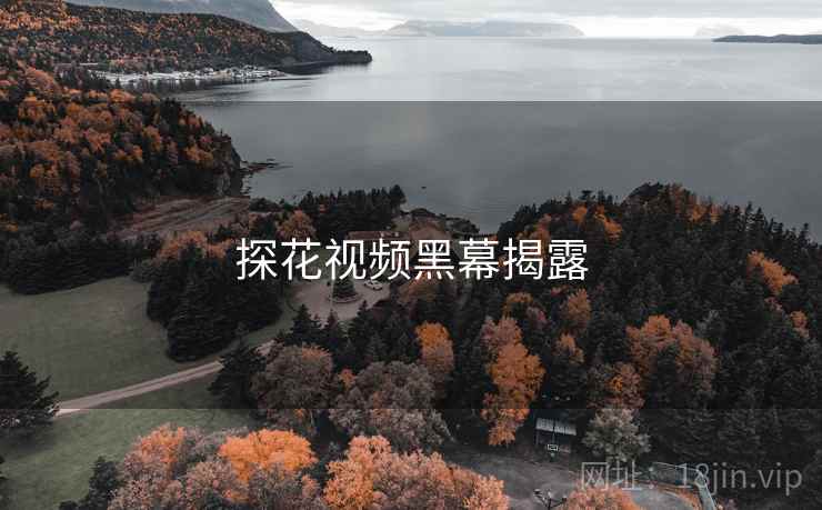 探花视频黑幕揭露