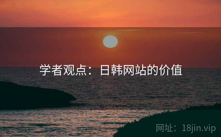 学者观点：日韩网站的价值