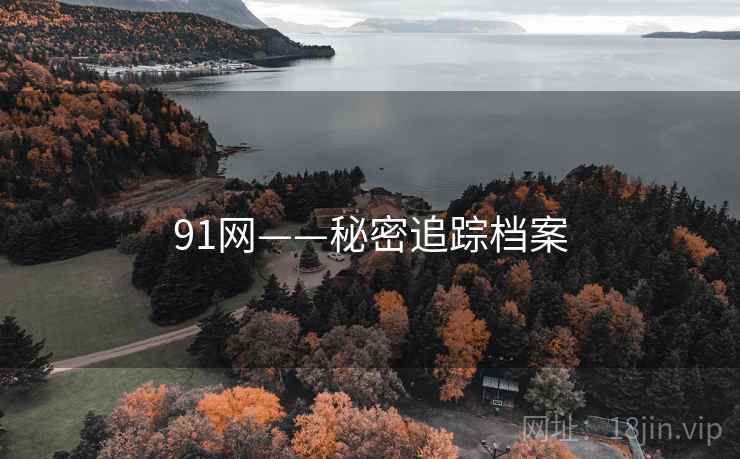 91网——秘密追踪档案