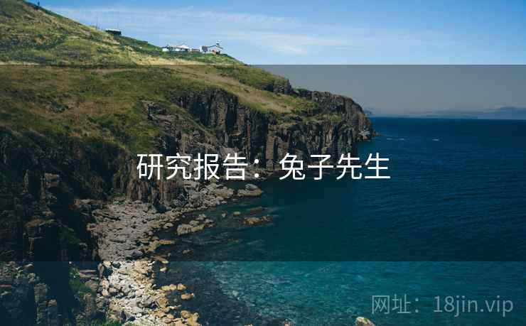 研究报告：兔子先生