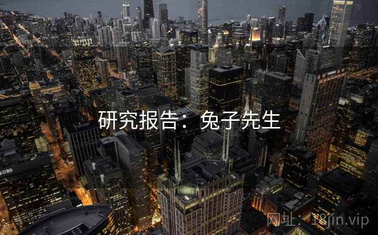 研究报告：兔子先生
