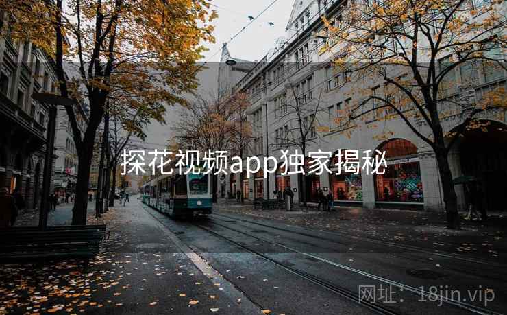 探花视频app独家揭秘