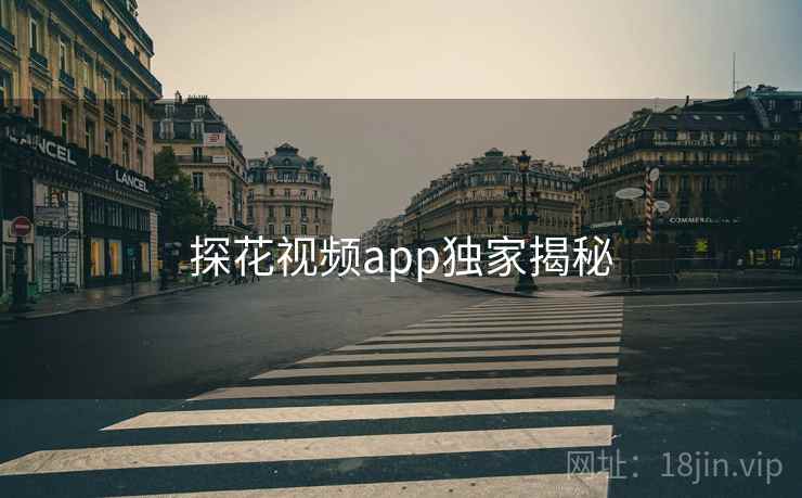 探花视频app独家揭秘