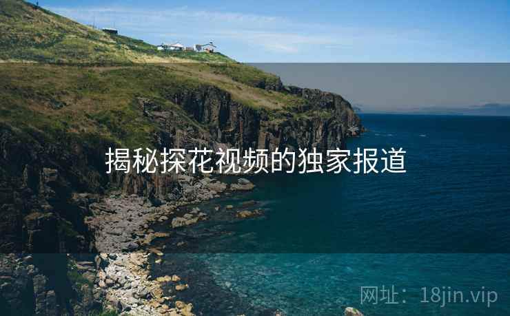 揭秘探花视频的独家报道