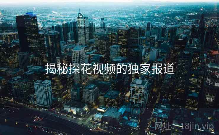 揭秘探花视频的独家报道