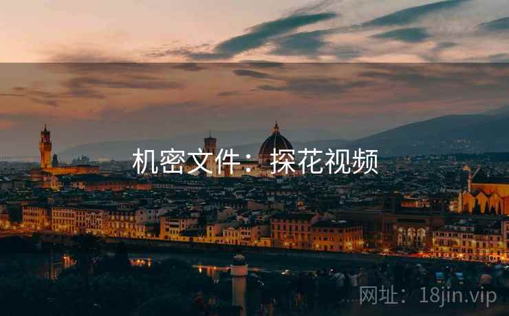 机密文件:探花视频