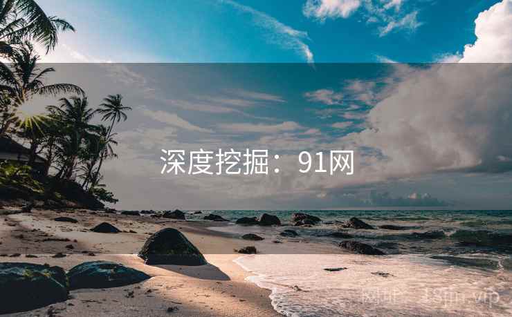 深度挖掘：91网