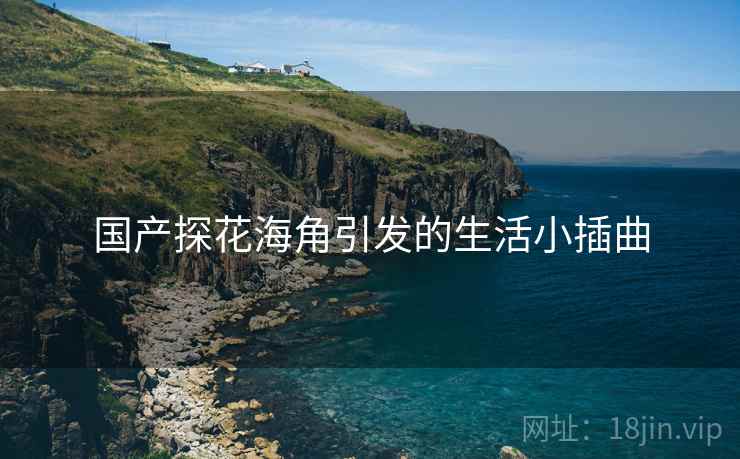 国产探花海角引发的生活小插曲 国产探花海角引发的生活小插曲