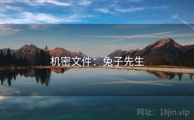 机密文件:兔子先生