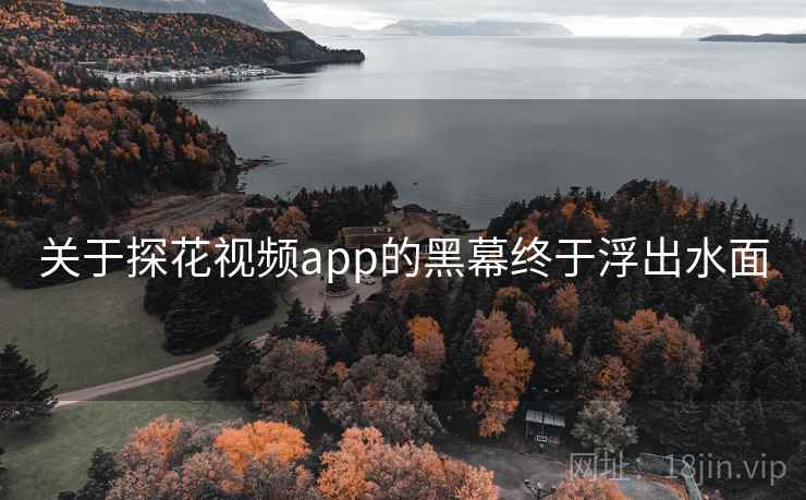 关于探花视频app的黑幕终于浮出水面
