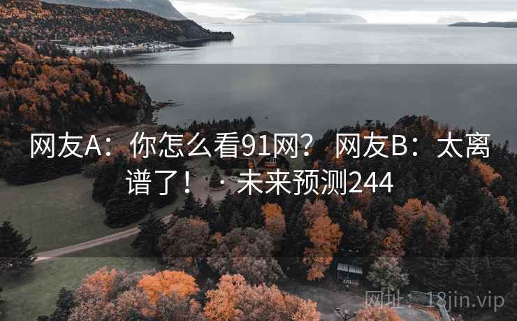 网友A：你怎么看91网？ 网友B：太离谱了！ · 未来预测244